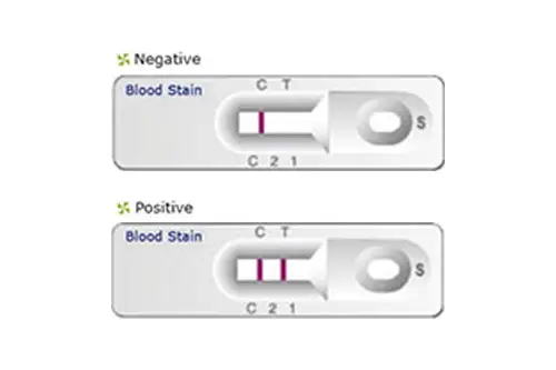 Forensic Genetic Testing (Bloodstain) Kit